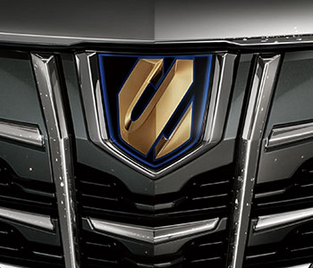 专属金色车标(黄金特别版专属)